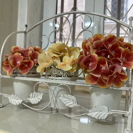 Chloehouse * 那不勒斯